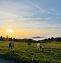 Chaty v Oblakoch - Werde ich mich nicht langweilen?