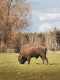 Jarzębinowa - Jak u nás odpočívat