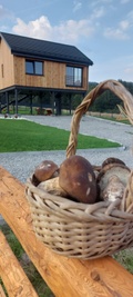 Natur House Beskidy - dom z drzewa księżycowego z SAUNĄ i BALIĄ! - Ar nenuobodžiausiu?