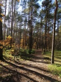 Natur House Beskidy - dom z drzewa księżycowego z SAUNĄ i BALIĄ! - Czy nie będę się nudzić?