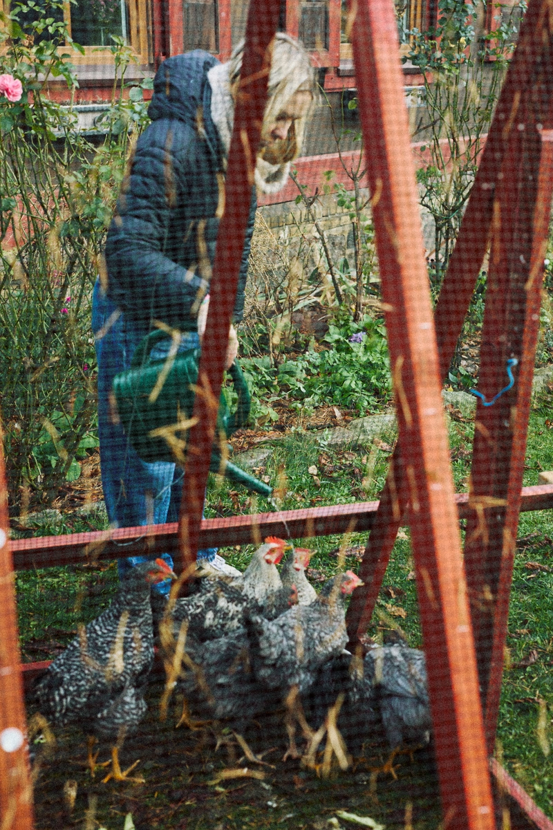 Agrotourism - O!Holender Ranczo