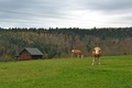 Na końcu świata - agroturystyka z duszą - Was gibt es dort für Kinder?