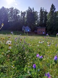 Slow Huts Międzygórze - Slow Hut - z widokiem na góry