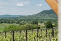 Wine & View Country Homes: Kubo Country Home