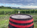Wine & View Country Homes: Rusztika Country Home - Will I not be bored?
