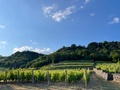 Wine & View Country Homes: Buborék Country Home - Will I not be bored?