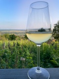 Wine & View Country Homes: Barrique Country Home - Will I not be bored?