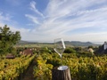 Wine & View Country Homes: Chill'Inn Country Home - Will I not be bored?