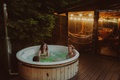 Chata w Leśnych Pieleszach - jacuzzi & sauna - A co dla dzieci?