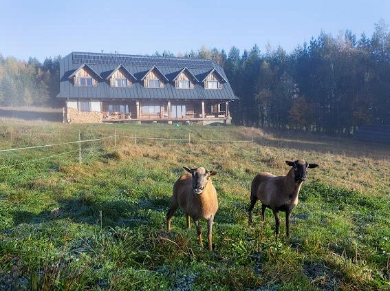 Guesthouse - Przysiółek Oderne
