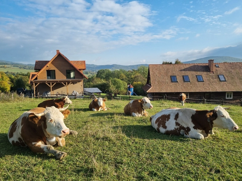 Agroturystyka - Chyże Rysie