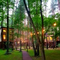 Karolina i Piotr, Tree Houses Olszanka