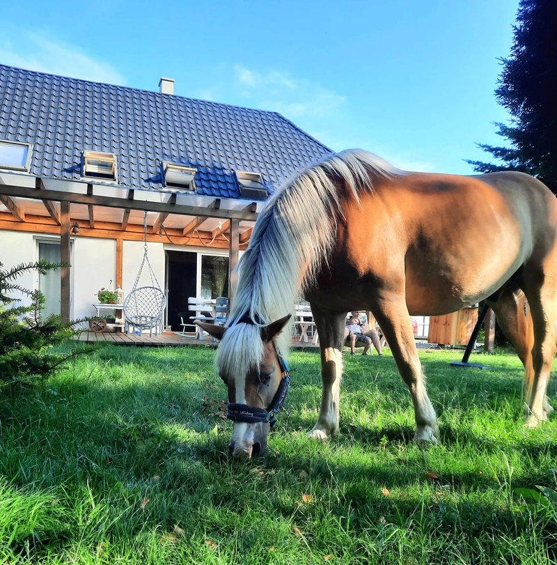 Agroturystyka - Siedlisko Gleźnowo 10