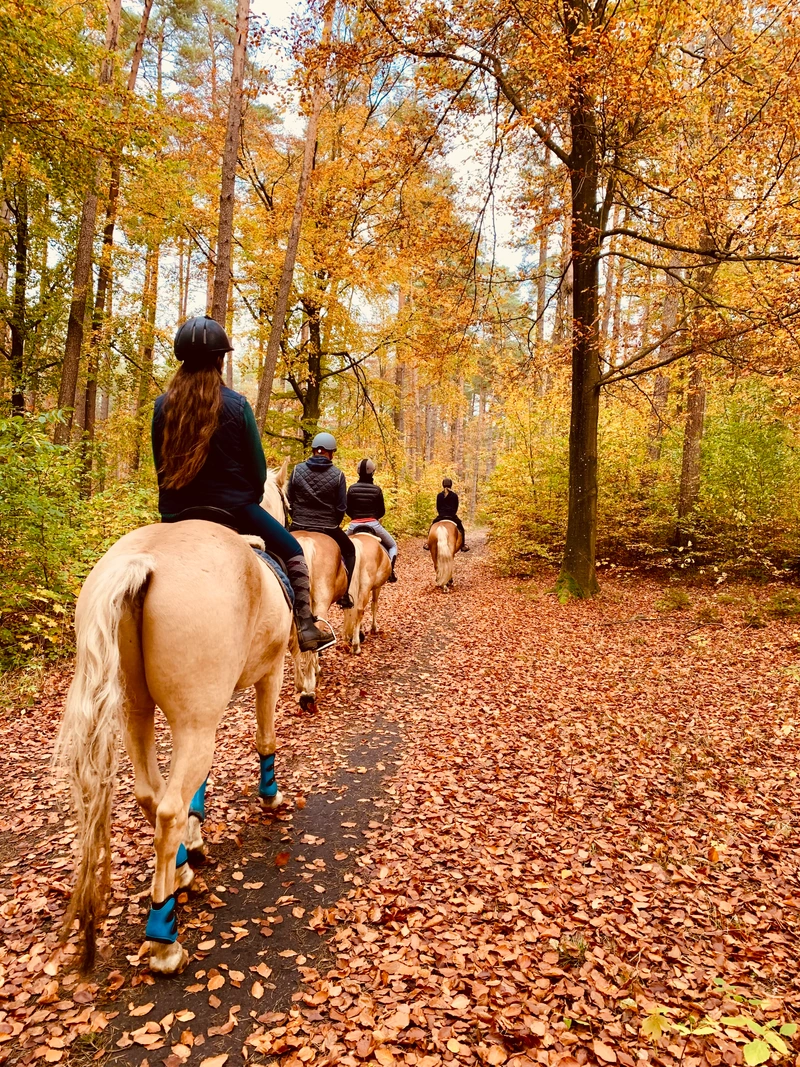 Agrotourism - Folwark Jackowo