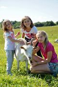 Kozia Farma Złotna - Was gibt es dort für Kinder?
