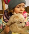 Kozia Farma Złotna - Jak zabavit děti
