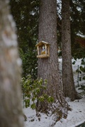 Willa Tyrolczyk - Twój dom na szlaku u podnóża Śnieżki