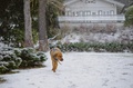 Willa Tyrolczyk - Twój dom na szlaku u podnóża Śnieżki - Jak u nás odpočívat