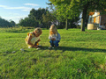 Agroturystyka Ginkgo  - Jak zabavit děti